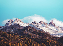 KAIYUNAPP：在指尖跃动的生产力之光