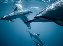 华体会官方网站-宁忠岩：我翻过了那座“大山”，山顶风景太好了